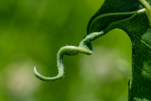 Serrurier Tournefeuille